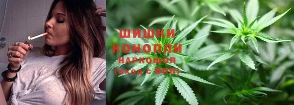 каннабис Богданович